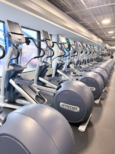 A row of gray and white elliptical machines facing a wall of windows. 
