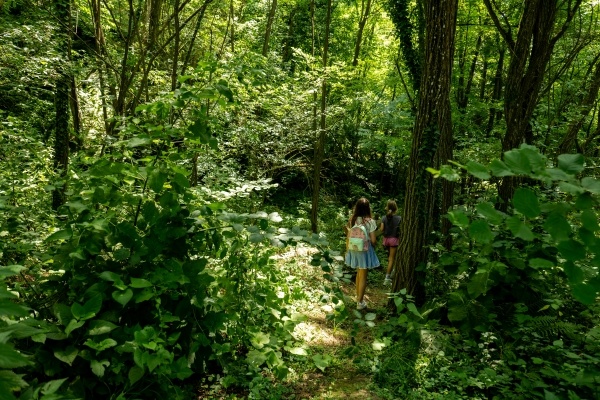A dense green forest where two young girls in skirts with backpacks hike away from the camera.