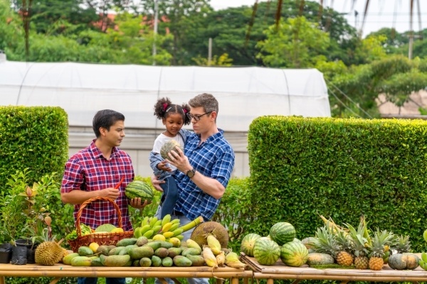 Two dads in flannel shirts, one carrying a young girl with pigtails, admire produce at a table at an outdoor market.