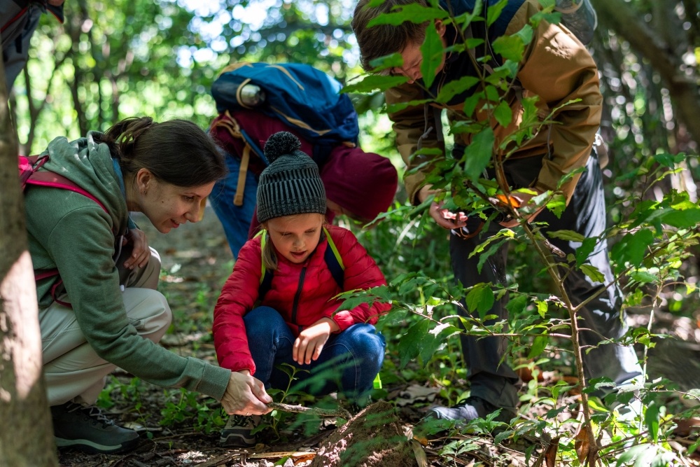 A mom, dad, and two kids in hiking gear crouch down in the woods looking at a stick together. 